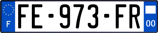 FE-973-FR