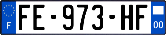 FE-973-HF