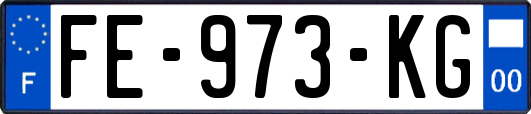FE-973-KG