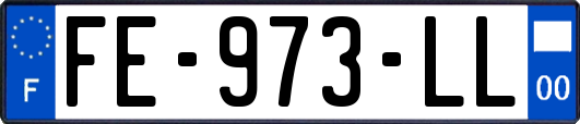 FE-973-LL