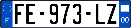 FE-973-LZ