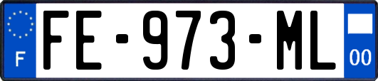FE-973-ML