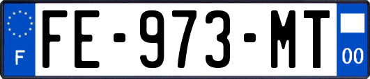 FE-973-MT