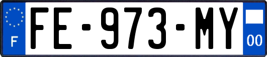 FE-973-MY