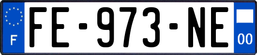FE-973-NE
