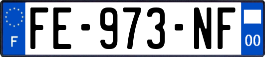 FE-973-NF