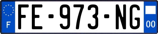 FE-973-NG