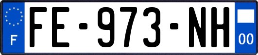 FE-973-NH