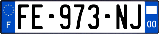 FE-973-NJ