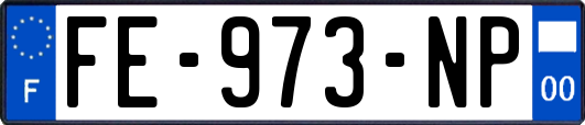 FE-973-NP