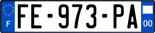 FE-973-PA