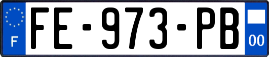 FE-973-PB