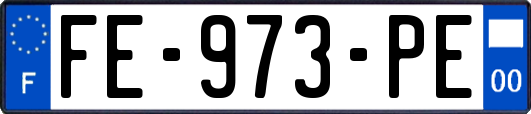 FE-973-PE