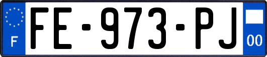 FE-973-PJ