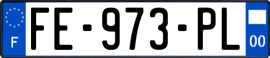 FE-973-PL