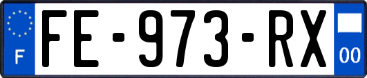 FE-973-RX