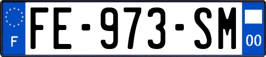 FE-973-SM