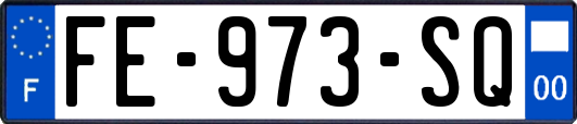 FE-973-SQ