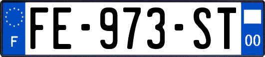 FE-973-ST