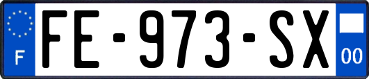 FE-973-SX