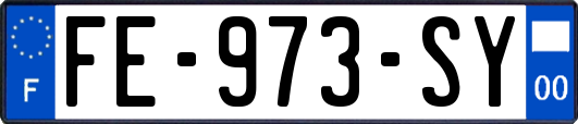 FE-973-SY