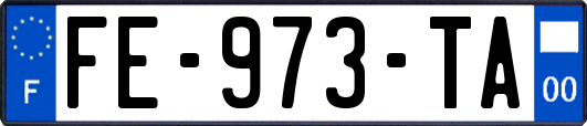FE-973-TA