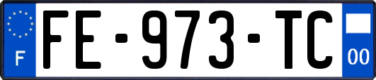 FE-973-TC