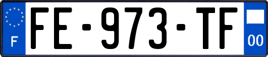 FE-973-TF