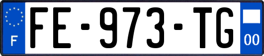 FE-973-TG