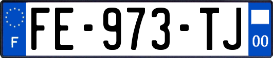 FE-973-TJ