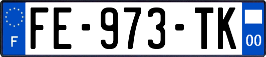 FE-973-TK