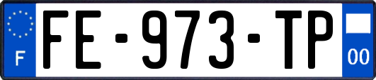 FE-973-TP