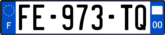 FE-973-TQ