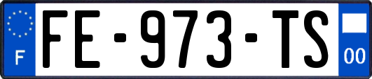 FE-973-TS