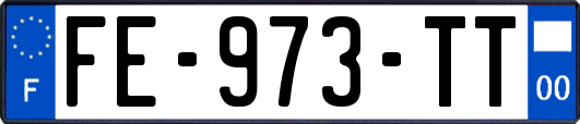 FE-973-TT