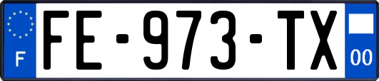 FE-973-TX