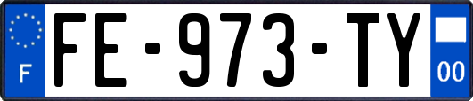 FE-973-TY