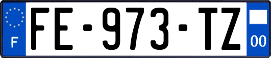 FE-973-TZ