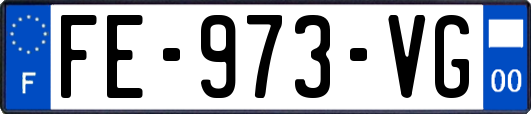 FE-973-VG