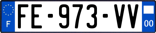 FE-973-VV