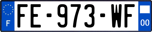 FE-973-WF
