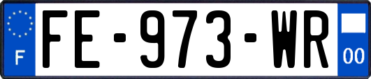 FE-973-WR