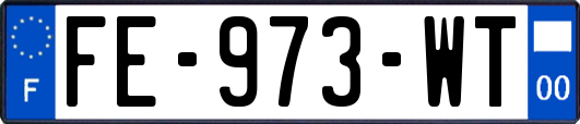FE-973-WT