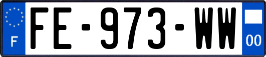 FE-973-WW
