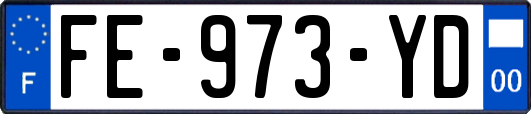 FE-973-YD