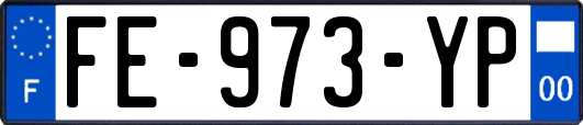 FE-973-YP
