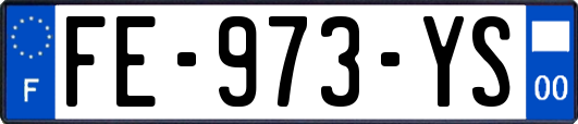 FE-973-YS