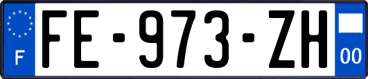 FE-973-ZH