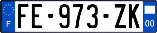 FE-973-ZK