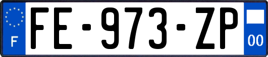 FE-973-ZP